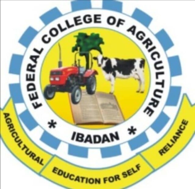 Ibadan