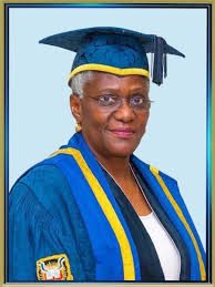 Professor Aderonke Mojisola Baiyeroju at 70: Salute to the Molete Hurdler by Idowu Olayinka