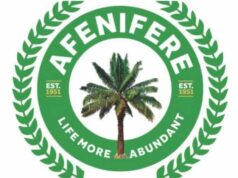 Afenifere expresses concern over persistent terror attacks, kidnappings Yorubaland, Kwara, Kogi