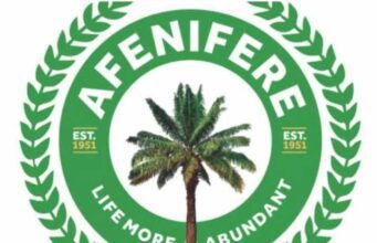 Afenifere expresses concern over persistent terror attacks, kidnappings Yorubaland, Kwara, Kogi