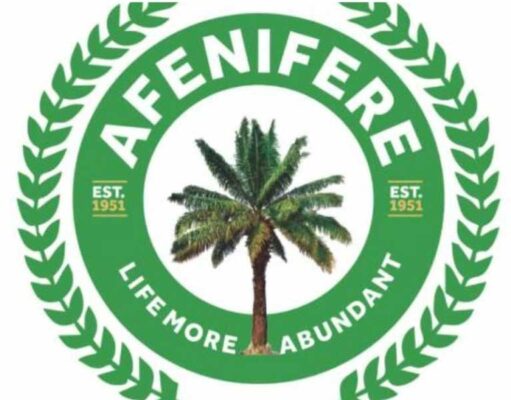 Afenifere expresses concern over persistent terror attacks, kidnappings Yorubaland, Kwara, Kogi