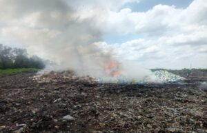 NAFDAC Destroys ₦15bn Worth of Fake, Expired Drugs in Ibadan