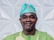 It’s Time for Nigeria to Build Its Own Syngenta and Monsanto By Kabiru Adeniyi Adisa