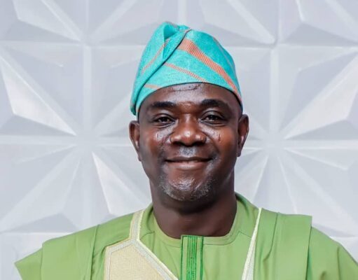 It’s Time for Nigeria to Build Its Own Syngenta and Monsanto By Kabiru Adeniyi Adisa