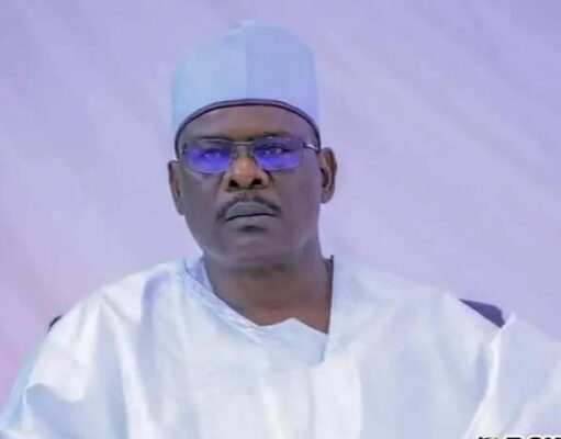 Tinubu surrounds himself with people who only know Ikoyi, fly abroad, says Ndume