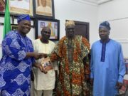 Oyo Pledges to Promote Adeyipo Research, Library Centre on African Heritage