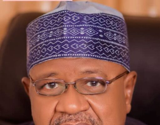 Push to remove Tinubu about saving Nigeria, says Northern leader