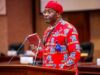 No Individual Owns APC, Not Even Tinubu – Dep. Speaker