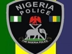 Police foil highway robbery, arrest suspect on Ogbomoso–Ilorin Expressway