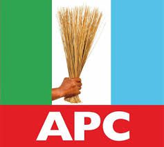 Direct primaries key to averting 2027 loss, Ibadan APC leaders tell party