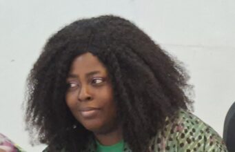 Nigeria Must Revamp Cotton Value Chain, Says Agribusiness Expert