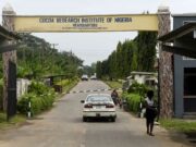 Kidnapped CRIN, IBEDC staff regain freedom