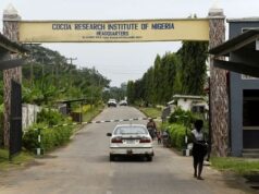 Kidnapped CRIN, IBEDC staff regain freedom