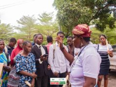 Households urged to embrace backyard farming for organic food production