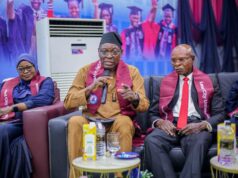 Nigeria needs to strengthen administrative capacity amid AI revolution , say ex-SSG, Olaopa