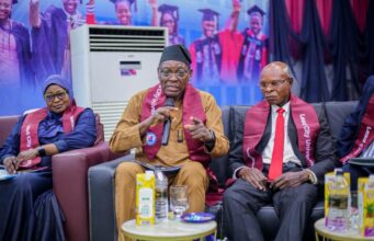 Nigeria needs to strengthen administrative capacity amid AI revolution , say ex-SSG, Olaopa