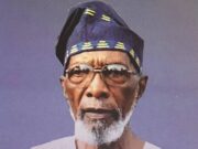 Segun Osoba: Teacher, Scholar, Activist and a Rare Gift to the World by Akanmu Adebayo and Olutayo Adesina