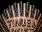 Braids, Ballots and Prices, by Lanre Ogundipe