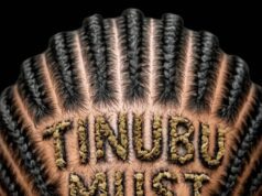 Braids, Ballots and Prices, by Lanre Ogundipe