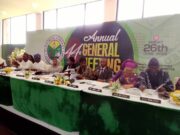 Odu’a Investment targets ₦1tr assets as Tola Kasali becomes Chairman