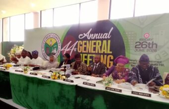 Odu’a Investment targets ₦1tr assets as Tola Kasali becomes Chairman