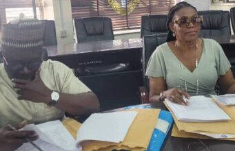 Ifeoma Nwankwo hails Olapegba’s appointment as UI VC, says he’ll raise university’s global profile