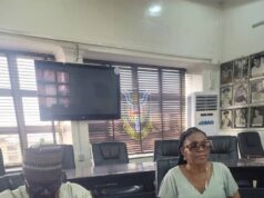 Ifeoma Nwankwo hails Olapegba’s appointment as UI VC, says he’ll raise university’s global profile