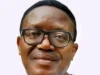 Jimoh Ibrahim is uninformed: UN intervenes in nation’s internal affairs, by Owei Lakemfa