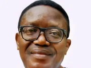 Jimoh Ibrahim is uninformed: UN intervenes in nation’s internal affairs, by Owei Lakemfa
