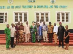 Agric extension: UI researcher urges govt to turn gender policy into action
