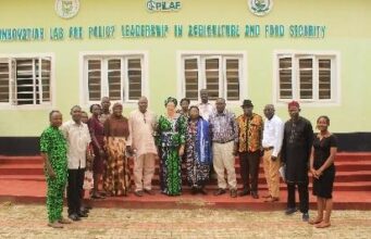 Agric extension: UI researcher urges govt to turn gender policy into action