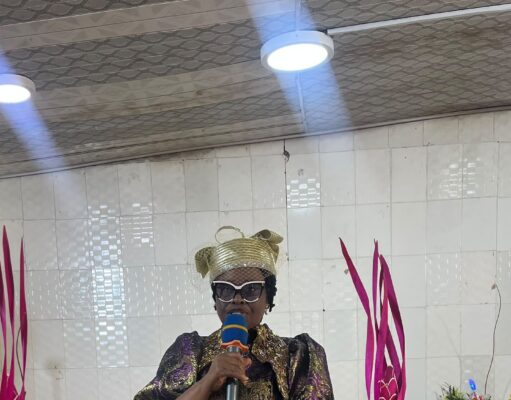 Raise Children Who Will Build a Safer Nigeria, Dr Akinfenwa Urges Women